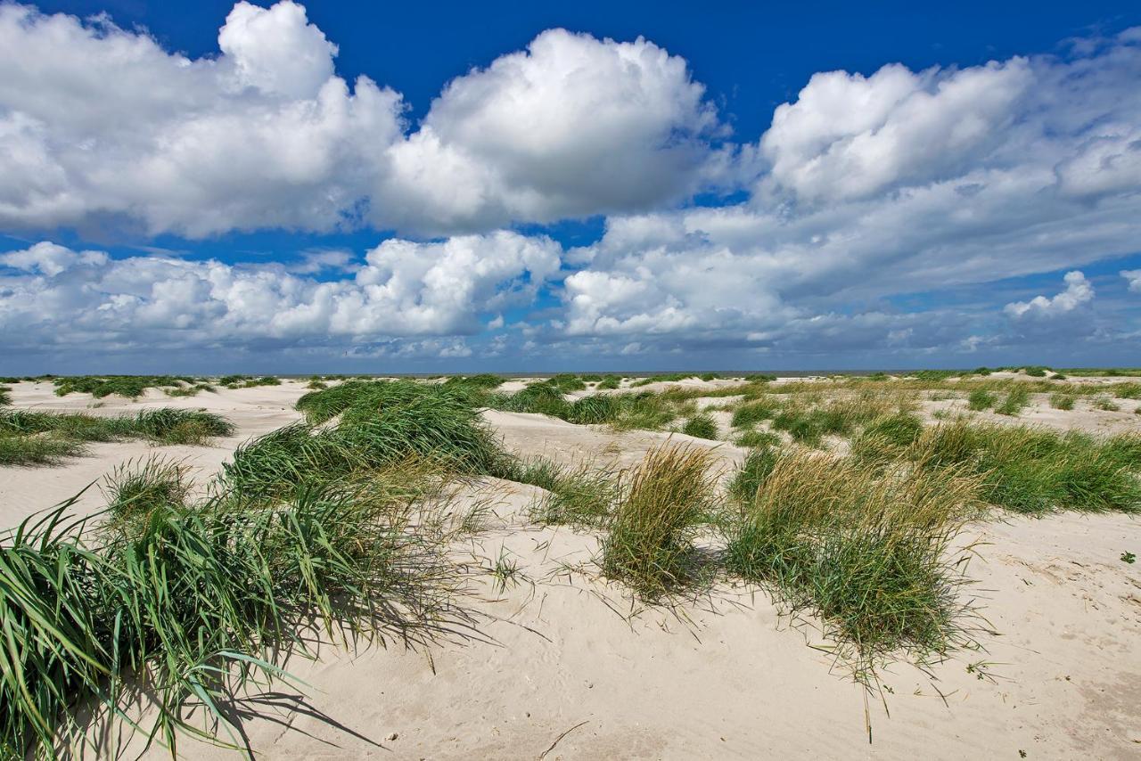 Zeelucht Texel Villa De Koog  Exteriör bild